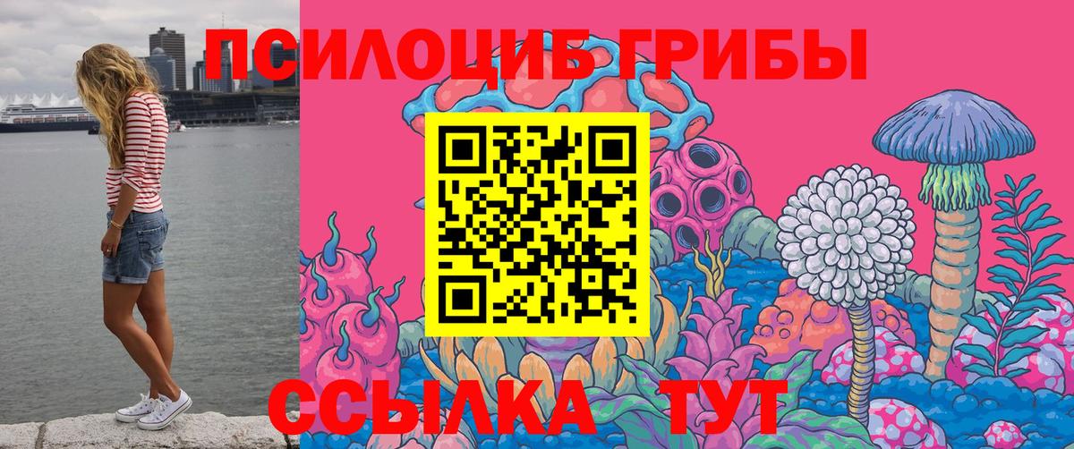 Псилоцибиновые грибы Psilocybe  Вход с VPN  Грозный 